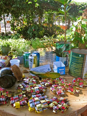 Exposição viveiro 2011 3