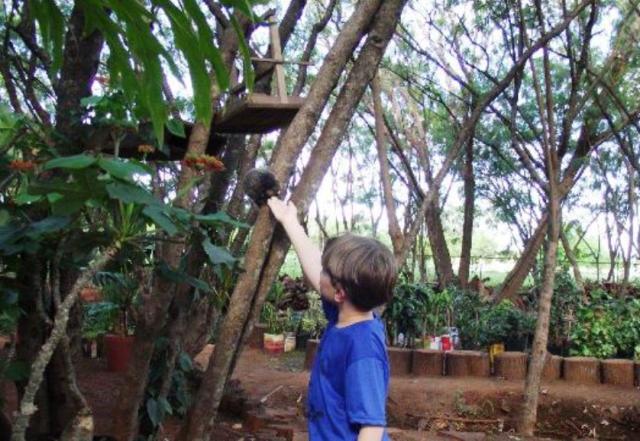 Dia das crianças viveiro