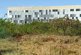 Novo viveiro será próximo ao STJ