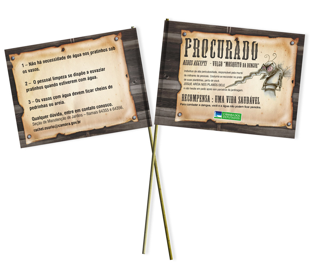 Campanha - Dengue - Bandeira