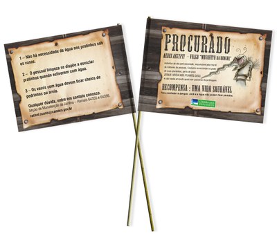 Campanha - Dengue - Bandeira