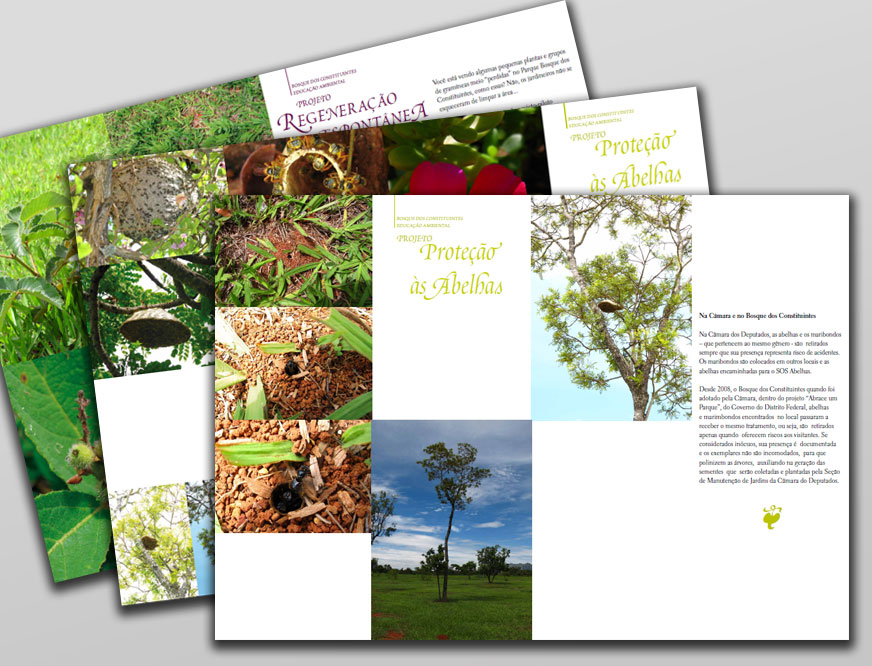 Placas - Abrace o Bosque