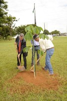 Chicá plantado pelo deputado Rodrigo Rollenberg e por Cesar Utida, diretor da EPB