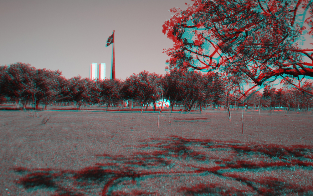 Bosque com Congresso ao fundo 3-D M