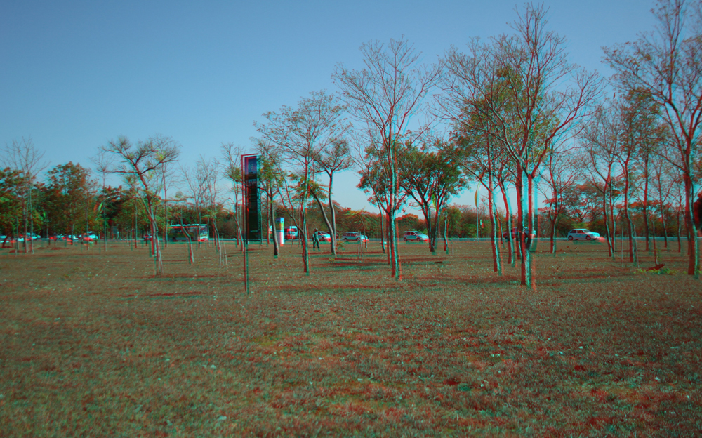 Panorâmica Bosque 3-D
