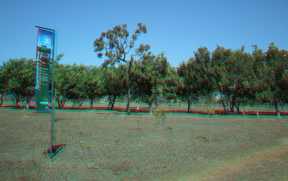 Quaresmeira rosa 3-D