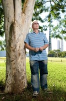 Aylê-Salassié Filgueiras Quintão