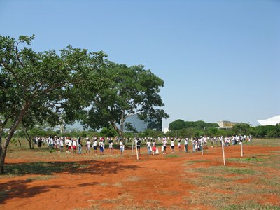 Estudantes abra&ccedil;am sucupira