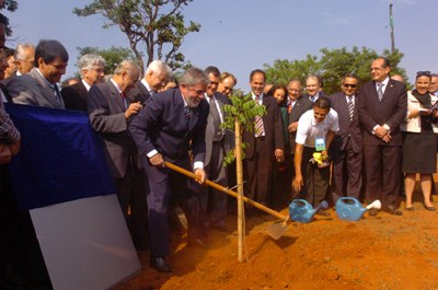 Lula planta Aroeira