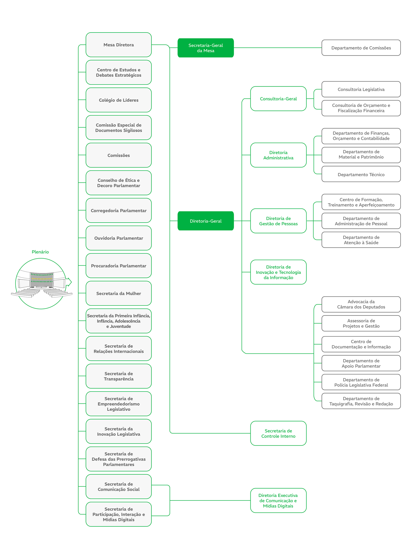 Organograma Janeiro 2026