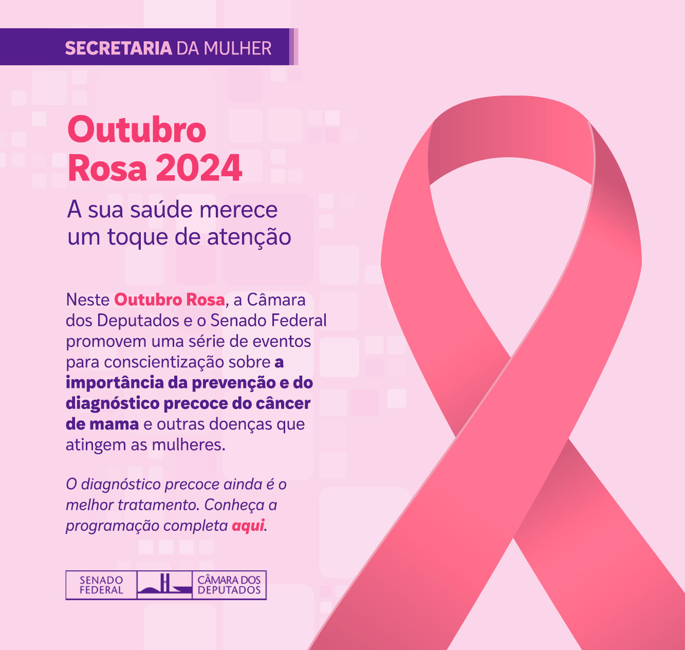 Campanha Outubro Rosa 2024