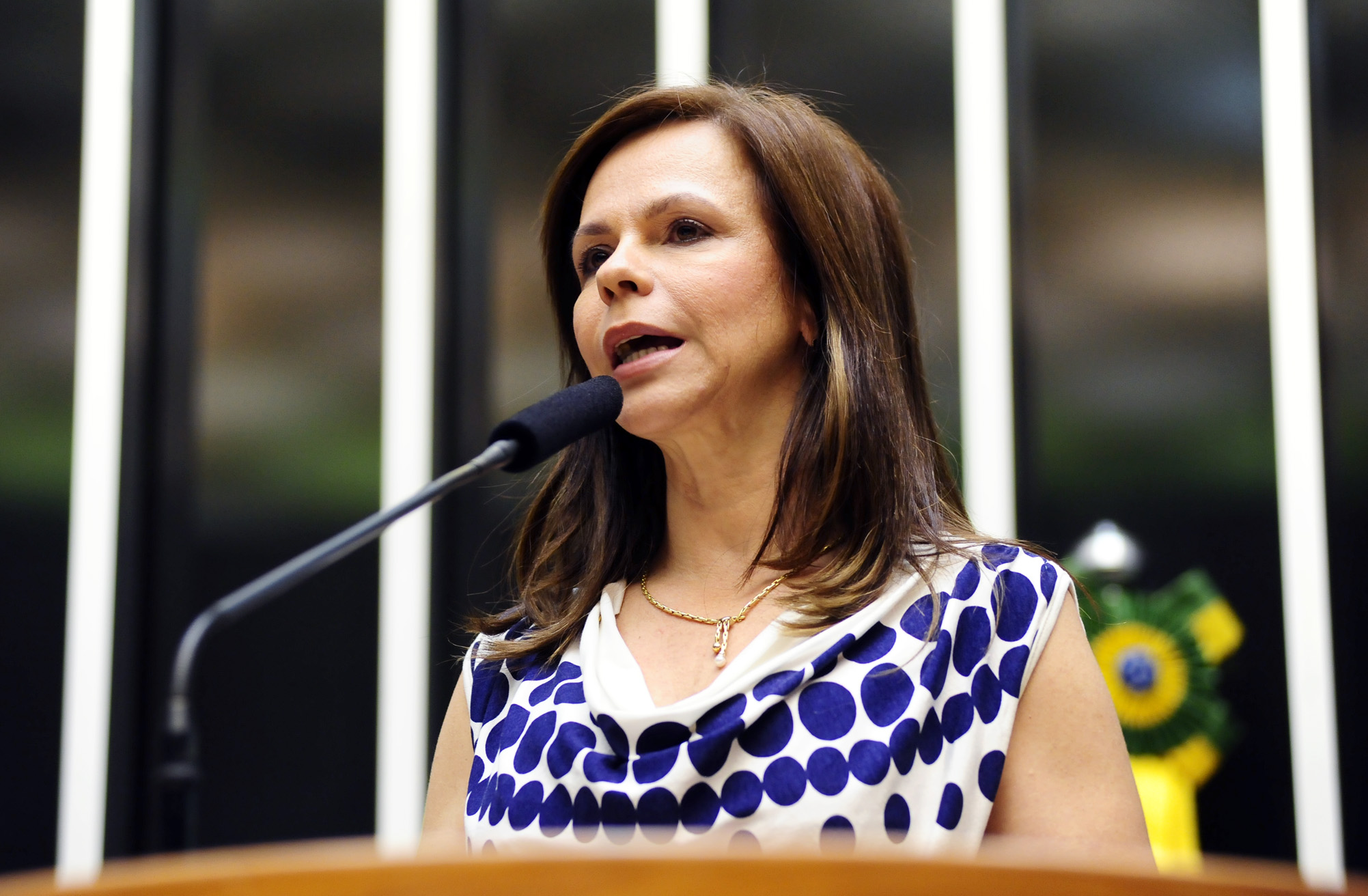 Professora Dorinha Seabra foi favorável à proposta em seu parecer