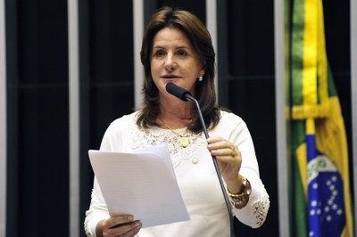 Câmada dos deputados.jpg