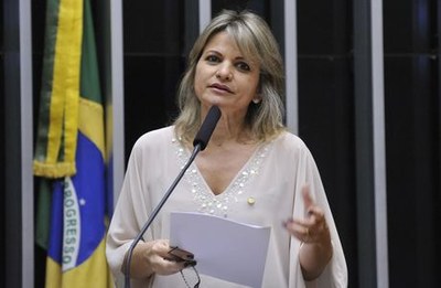 Dep. Flávia Morais PDT-GO tribuna plenário.jpg