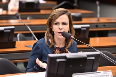 Dep. Professora Dorinha - Democratas / TO