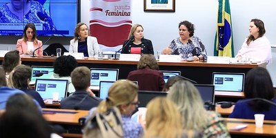 Audiência pública: prevenir e combater violência contra mulheres na Internet