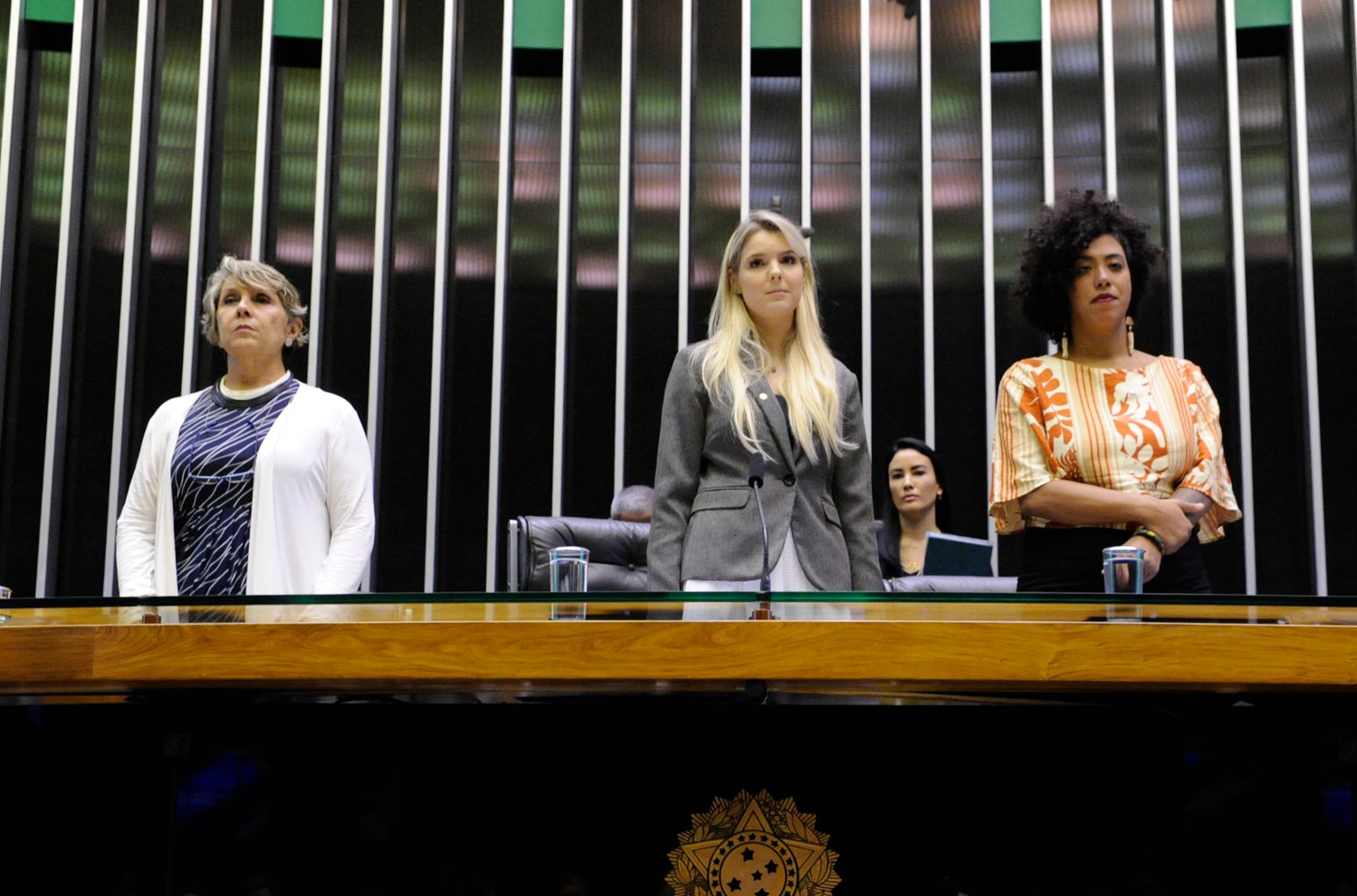 Câmara entrega medalha Mietta Santiago para Marielle Franco in memoriam