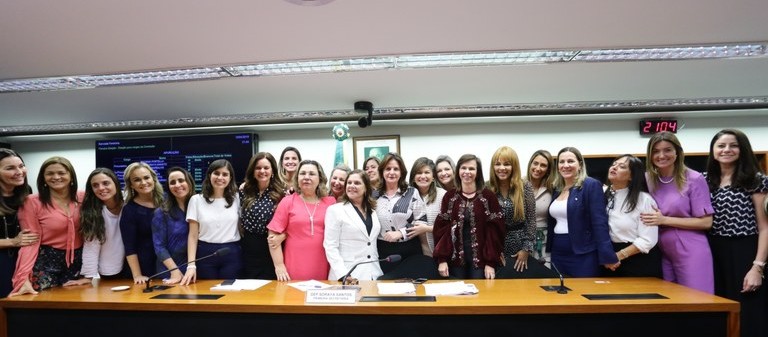 Professora Dorinha é eleita líder da bancada feminina na Câmara para um mandato de dois anos
