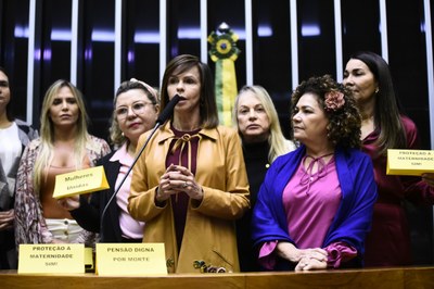 Bancada Feminina garante a aprovação de emenda com alterações positivas para as mulheres na Reforma da Previdência