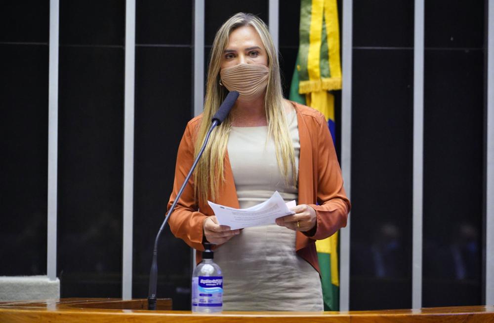 Celina Leão em Plenário