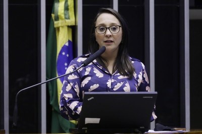 Renata Abreu, relatora da PEC da reforma política na comissão especial