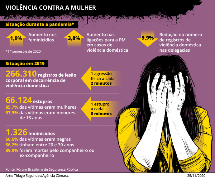 Indicadores de violência contra as mulheres 