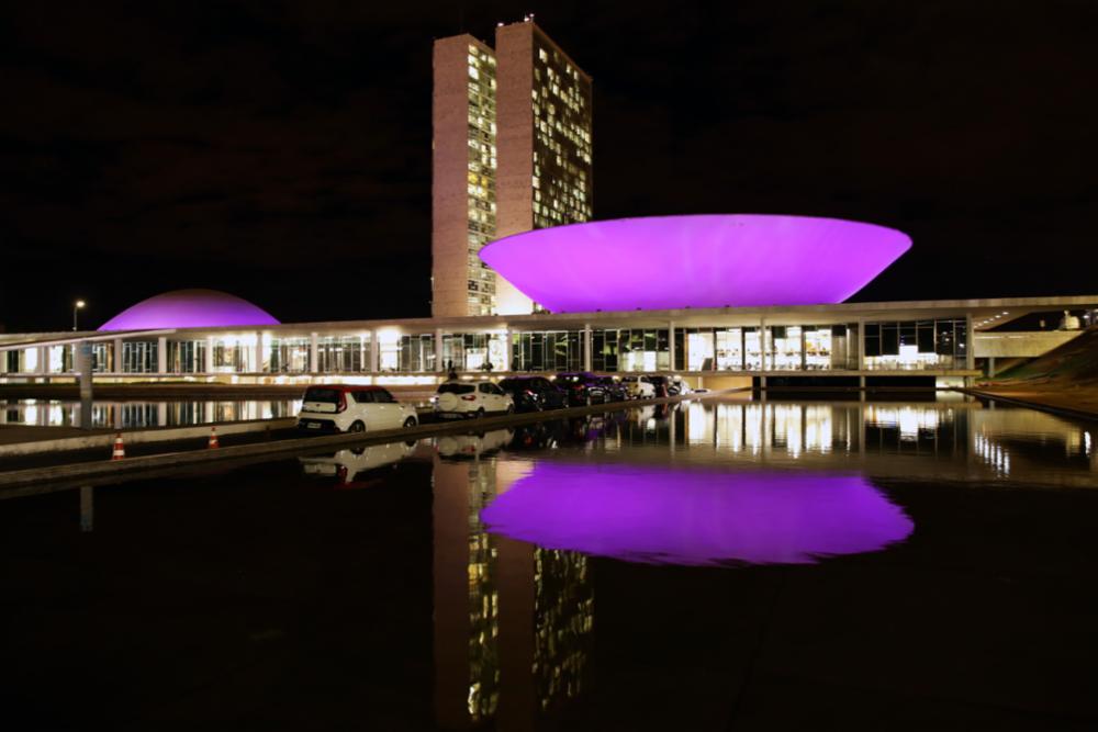 Congresso iluminado em alusão ao Agosto Lilás