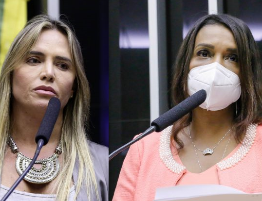 Autora e relatora do projeto, deputadas Celina Leão e Tia Eron