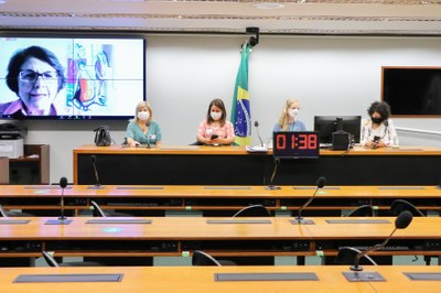 Participantes do debate sobre resoluções do TSE 