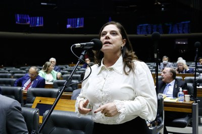 Deputada Soraya Santos