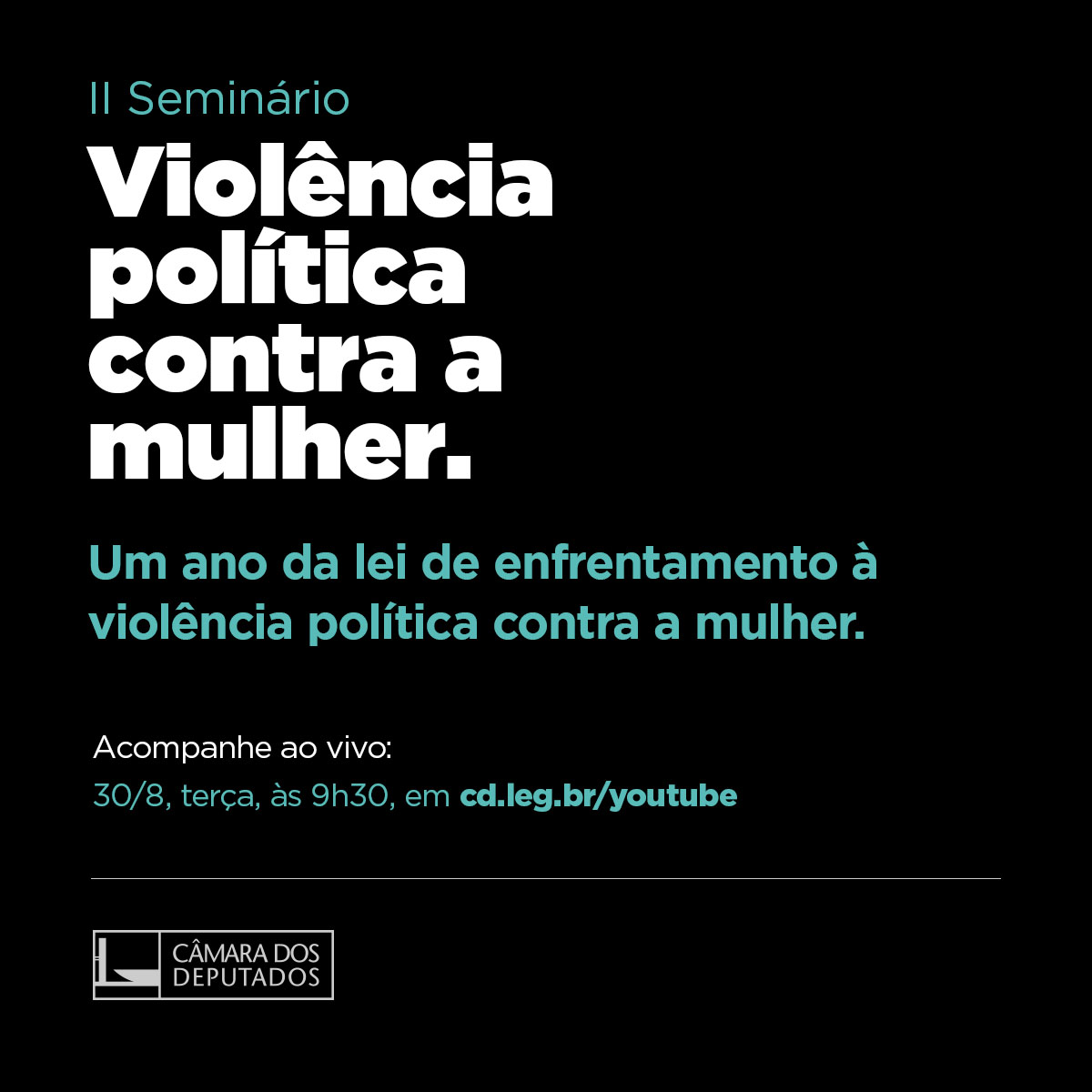 Seminário debate um ano da lei contra violência política de gênero