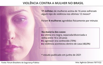 infografico violencia contra mulheres