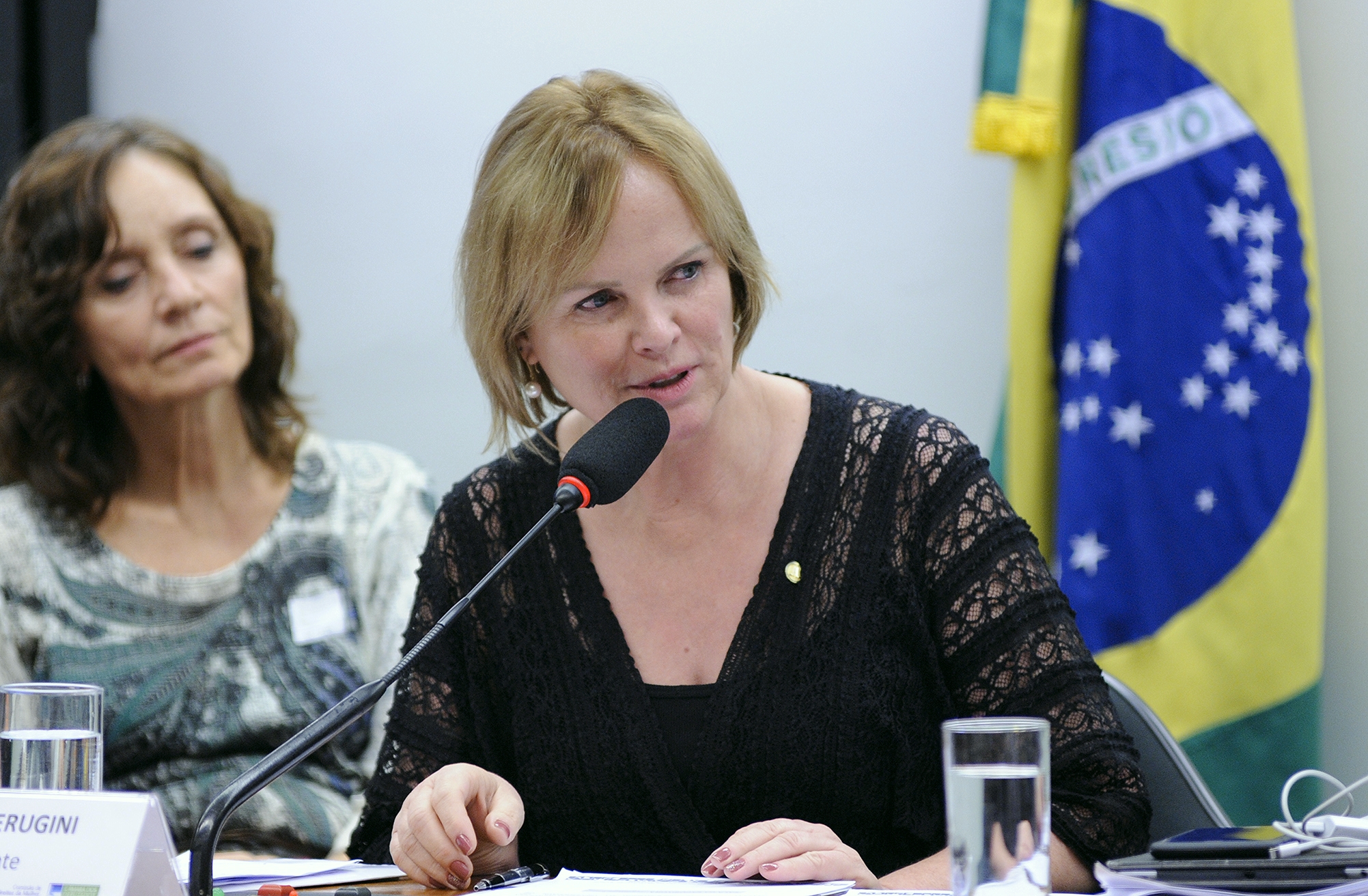 Ana Perugini é eleita coordenadora-adjunta da bancada feminina da Câmara dos Deputados