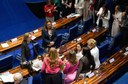 Bancada Feminina do Senado cobra punição por ameaças a Maria da Penha na internet 