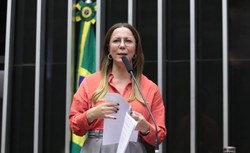 Câmara aprova emendas do Senado a plano de metas para enfrentar violência contra mulher