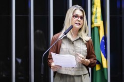 Câmara aprova homenagem a marinheiro que morreu defendendo a bandeira na Batalha de Riachuelo