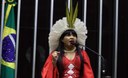 Câmara aprova participação de comunidades na escolha do nome de escolas indígenas e quilombolas