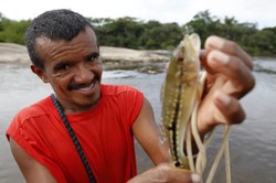 Câmara dos Deputados aprova regime de urgência para projeto de repovoamento de rios com alevinos  