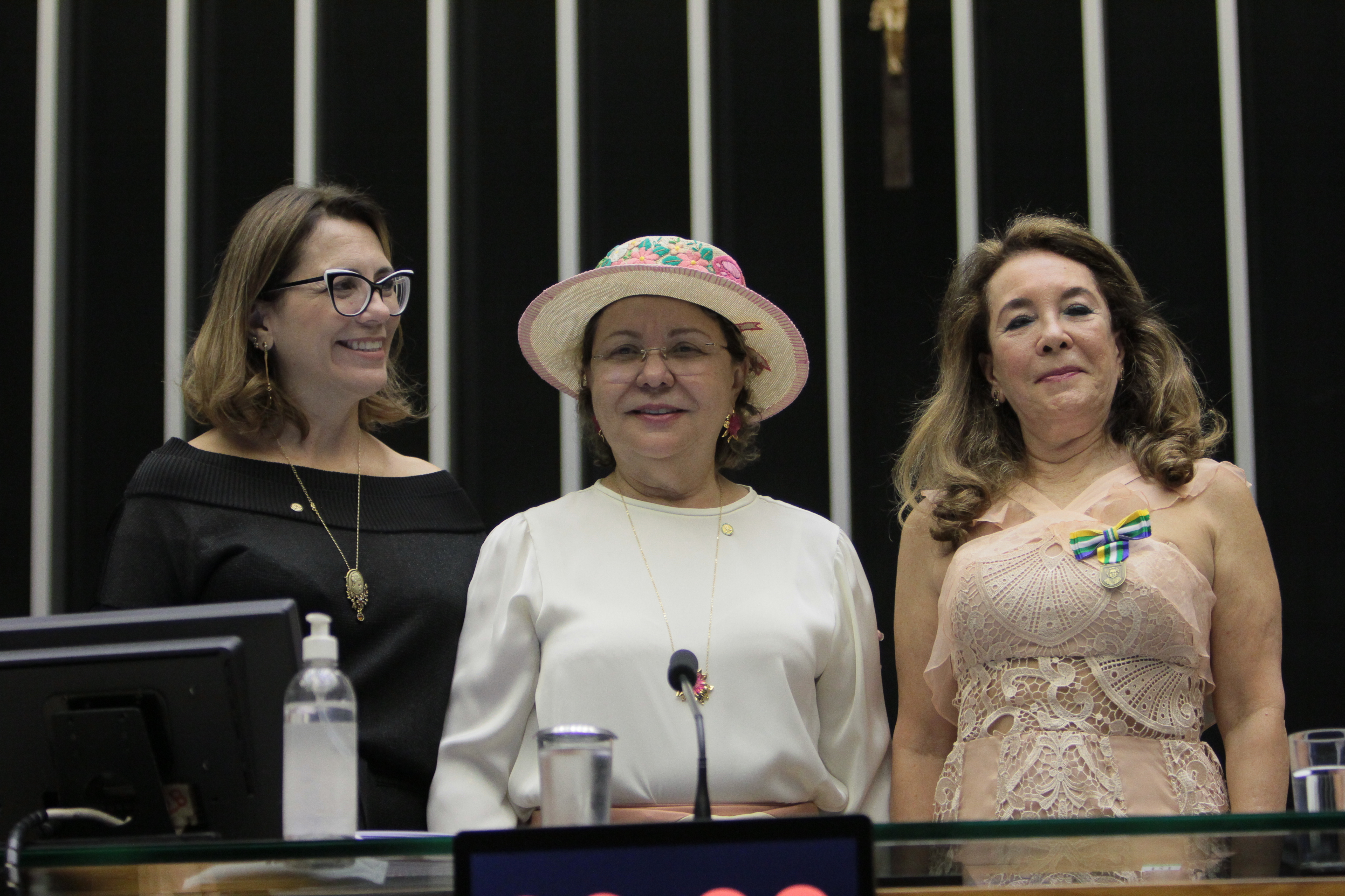 Câmara entrega medalha Mietta Santiago para mulheres que se destacam na defesa dos direitos femininos 