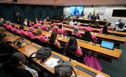 Câncer de mama é discutido no seminário "Rumo a Zero Mortes Evitáveis por Câncer de Mama"