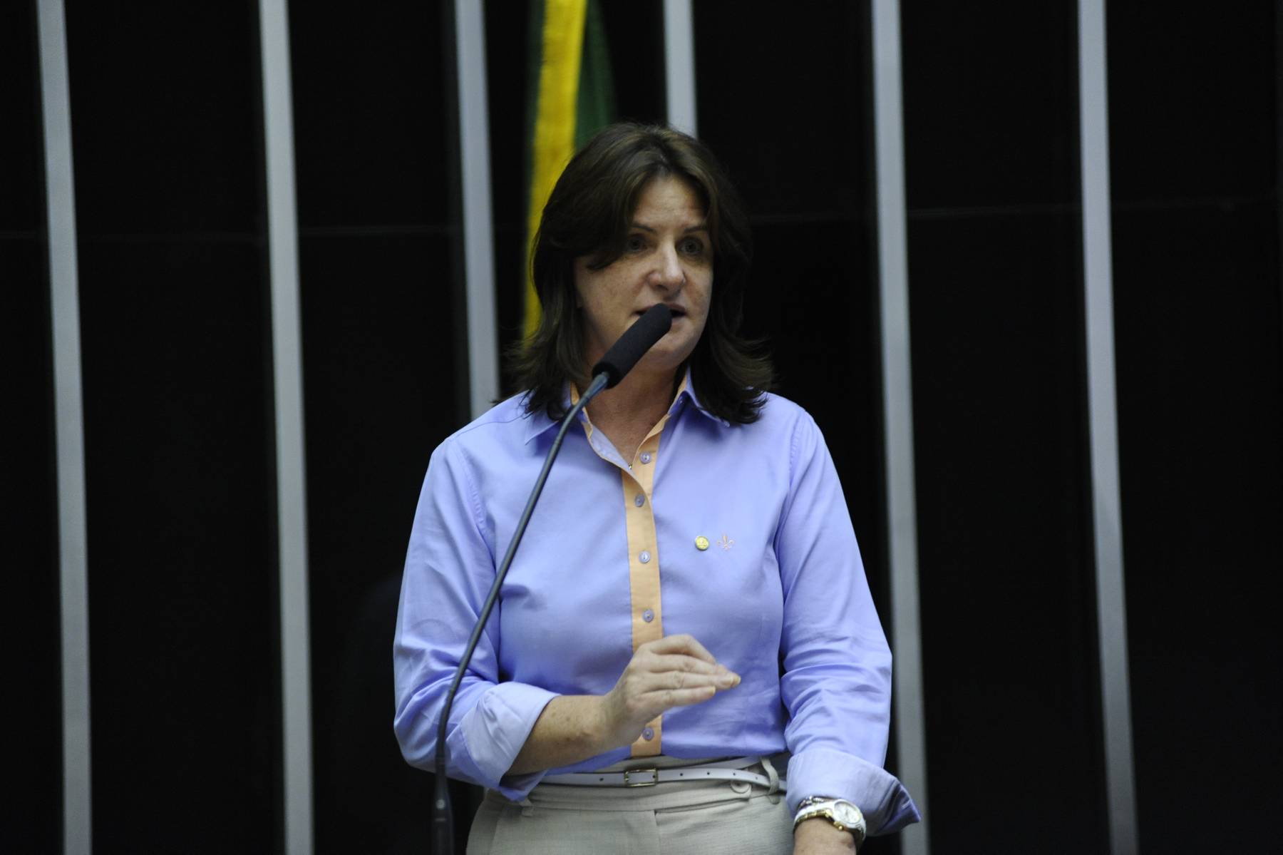 Carmen Zanotto defende liberação de verbas para a saúde