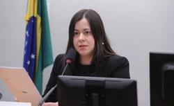 Comissão aprova agravante para violência institucional contra mulher vítima de violência doméstica
