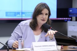 Comissão aprova PL de Carmen  que determina especificação de crime de gênero na execução penal