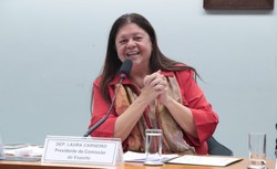 Comissão aprova possibilidade de proibir agressor de mulher de entrar em estádio 