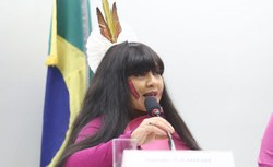 Comissão aprova preferência por profissionais mulheres no atendimento a vítimas de violência doméstica