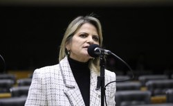 Comissão aprova projeto que cria o Orçamento Mulher