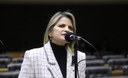 Comissão aprova projeto que cria o Orçamento Mulher