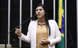 Comissão aprova transferência de gestante em trabalho de parto, caso falte vaga em hospital  