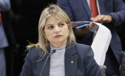 Comissão de Saúde aprova serviço de apoio para gestantes em situação de vulnerabilidade social 