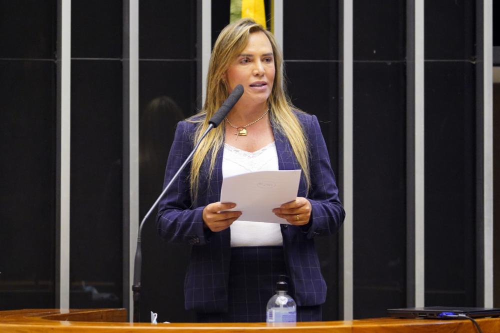 Coordenadora da bancada feminina defende deputada Luisa Canziani contra violência política e institucional